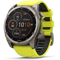 Amazon | GARMIN QuickFit F6 22mm Titanium 010-12863-18【GARMIN純正